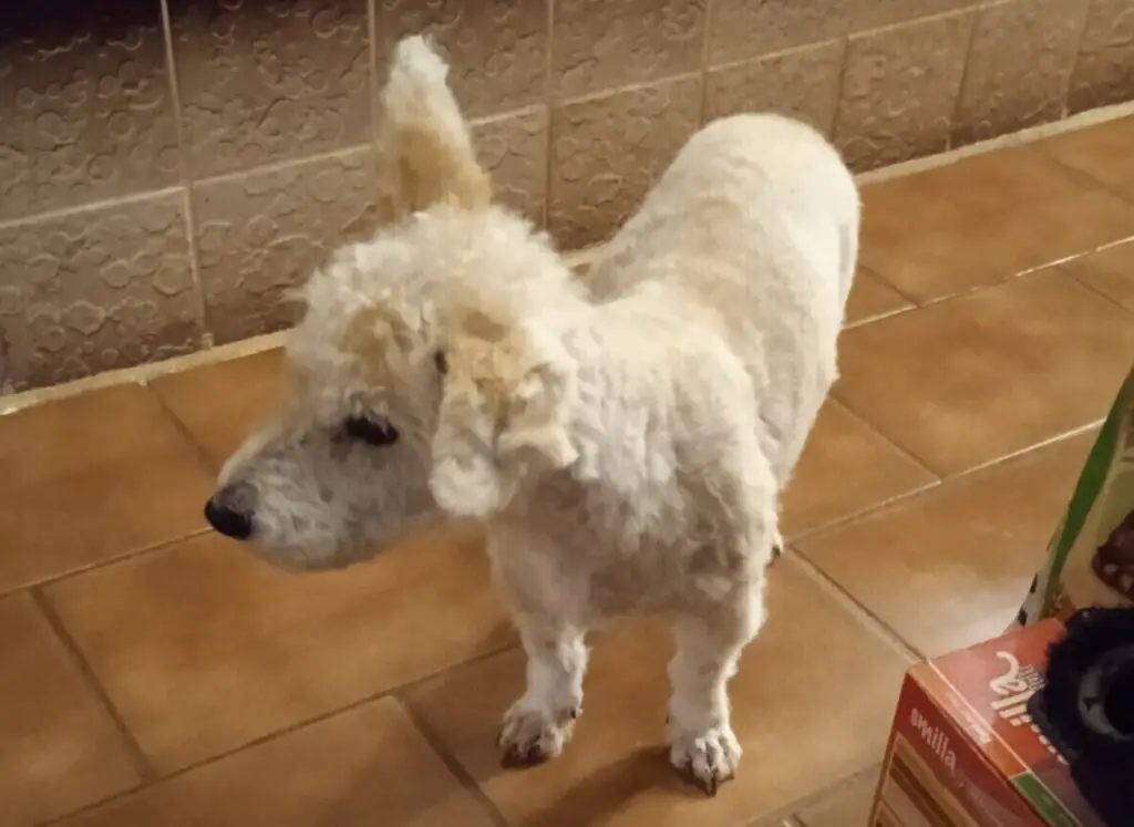 Kimi ně provázel 7 let a 2 měsíce mým životem